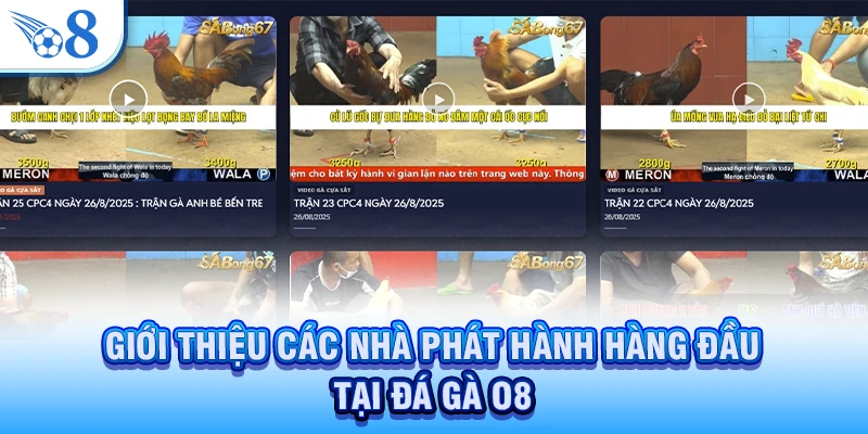 Đá Gà O8 - Trải Nghiệm Trận Đấu Hấp Dẫn, Thắng Lớn Nhất 2026 3 Giới thiệu các nhà phát hành hàng đầu tại đá gà O8